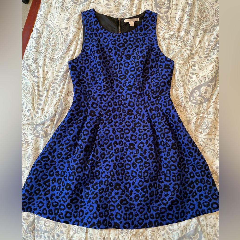 Forever 21 Leopard Royal Blue Dress